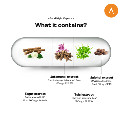 Good Night Peakmodeon